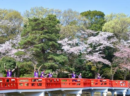 ⾒沼・岩槻エリア